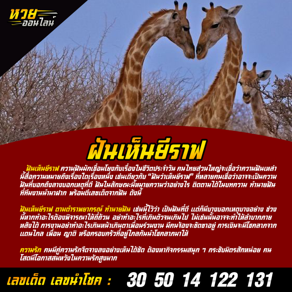 ฝันเห็นยีราฟ