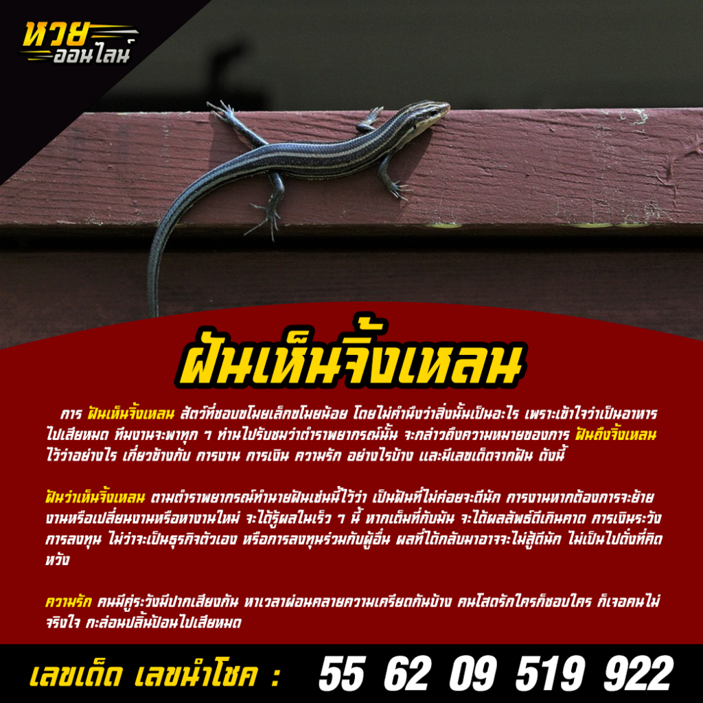 ฝันเห็นจิ้งเหลน