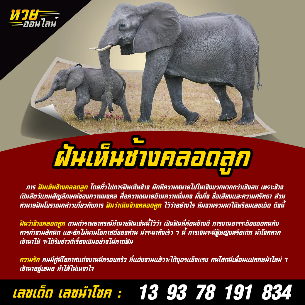 ฝันเห็นช้างคลอดลูก